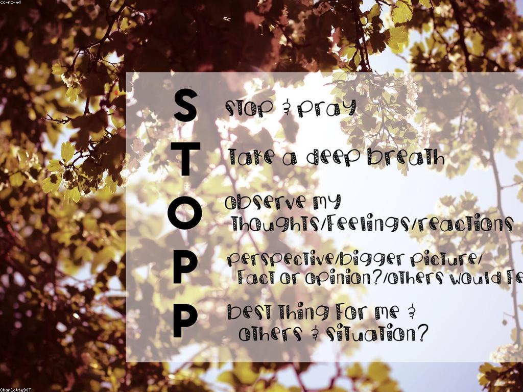 ក្បួន និងវិធីសាស្ត្រសម្រាប់គ្រប់គ្រងអារម្មណ៍